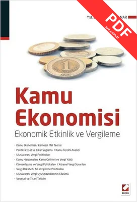Kamu Ekonomisi kitap kapağı