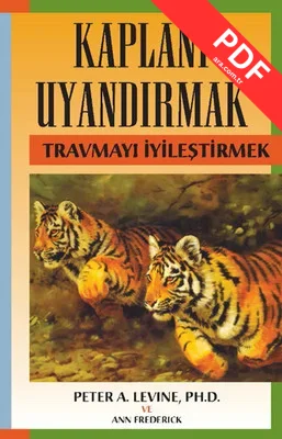 Kaplanı Uyandırmak kitap kapağı