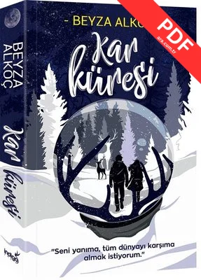 Kar Küresi kitap kapağı