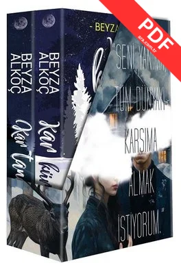 Kar Küresi Serisi Seti - 2 Kitap Takım-Kutulu kitap kapağı