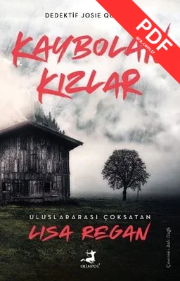 Kaybolan Kızlar - Dedektif Joise Quinn 1 kitap kapağı