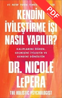 Kendini İyileştirme İşi Nasıl Yapılır? kitap kapağı