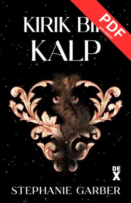 Kırık Bir Kalp kitap kapağı