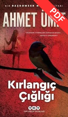 Kırlangıç Çığlığı kitap kapağı
