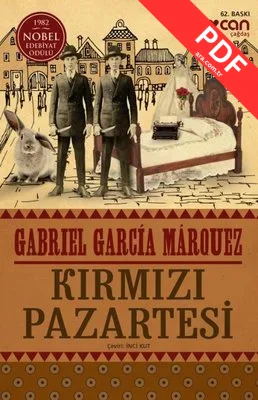 Kırmızı Pazartesi kitap kapağı