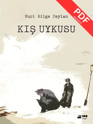 Kış Uykusu kitap kapağı
