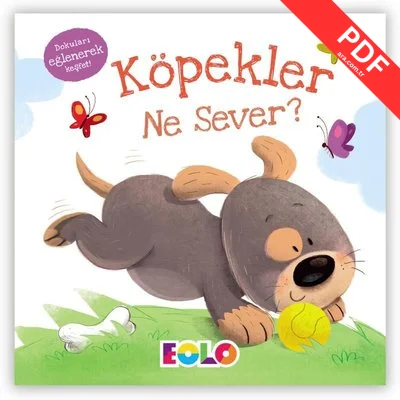 Köpekler Ne Sever? kitap kapağı