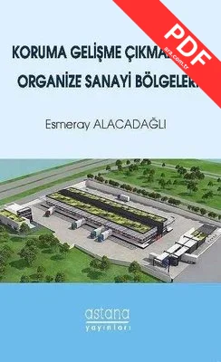 Koruma Gelişme Çıkmazında Organize Sanayi Bölgeleri kitap kapağı