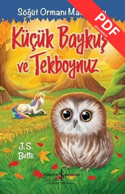 Küçük Baykuş ve Tekboynuz - Söğüt Ormanı Maceraları kitap kapağı