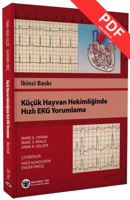 Küçük Hayvan Hekimliğinde Hızlı EKG Yorumlama kitap kapağı