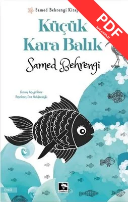 Küçük Kara Balık kitap kapağı
