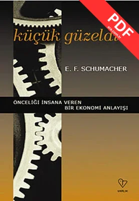 Küçük Güzeldir kitap kapağı