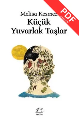 Küçük Yuvarlak Taşlar kitap kapağı
