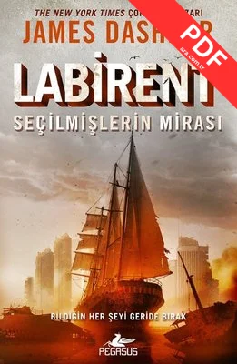 Labirent: Seçilmişlerin Mirası kitap kapağı