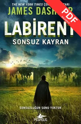 Labirent: Sonsuz Kayran kitap kapağı
