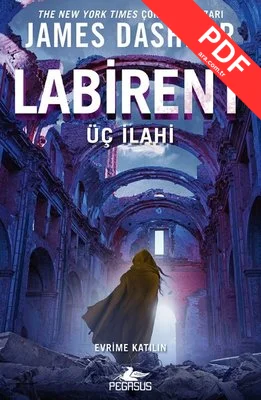 Labirent: Üç İlahi kitap kapağı