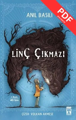 Linç Çıkmazı kitap kapağı