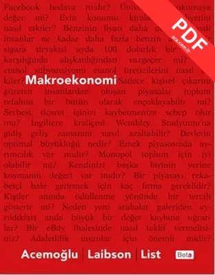 Makroekonomi kitap kapağı
