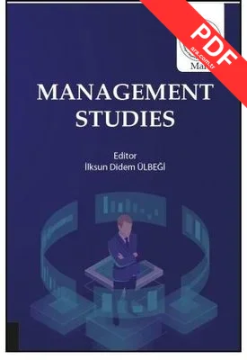 Management Studies kitap kapağı