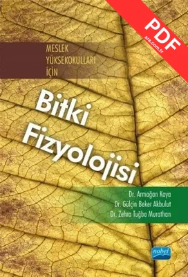 Meslek Yüksekokulları İçin Bitki Fizyolojisi kitap kapağı