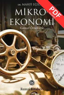 Mikroekonomi kitap kapağı