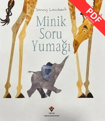 Minik Soru Yumağı kitap kapağı