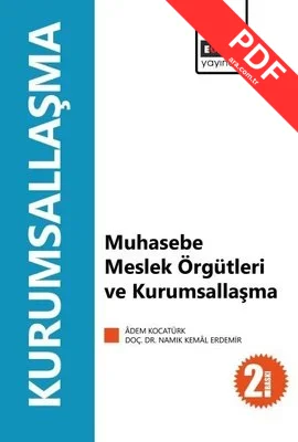 Muhasebe Meslek Örgütleri ve Kurumsallaşma kitap kapağı