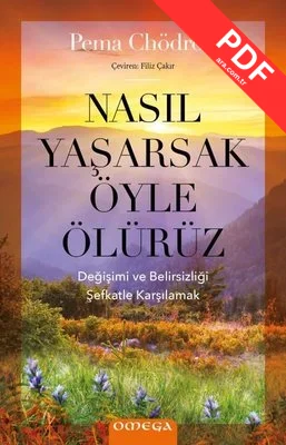 Nasıl Yaşarsak Öyle Ölürüz kitap kapağı