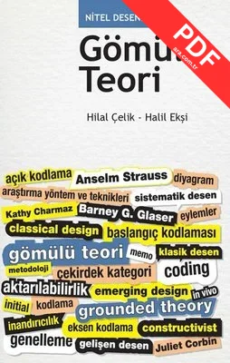 Nitel Desenler: Gömülü Teori kitap kapağı