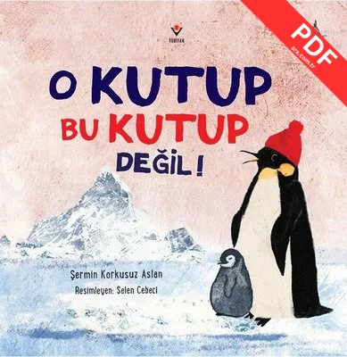 O Kutup Bu Kutup Değil! kitap kapağı