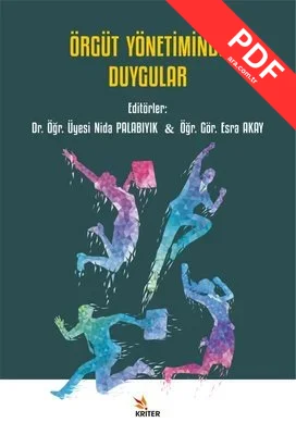 Örgüt Yönetiminde Duygular kitap kapağı