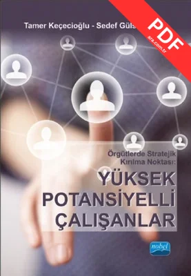 Örgütlerde Stratejik Kırılma Noktası : Yüksek Potansiyelli Çalışanlar kitap kapağı