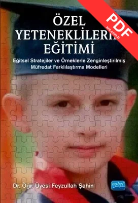 Özel Yeteneklilerin Eğitimi kitap kapağı