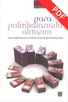 Para Politikalarında Aktarım kitap kapağı