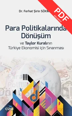Para Politikalarında Dönüşüm ve Tay kitap kapağı