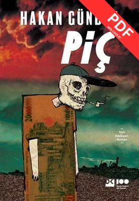 Piç kitap kapağı
