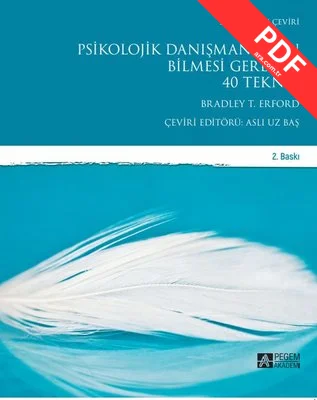 Psikolojik Danışmanların Bilmesi Gereken 40 Teknik kitap kapağı