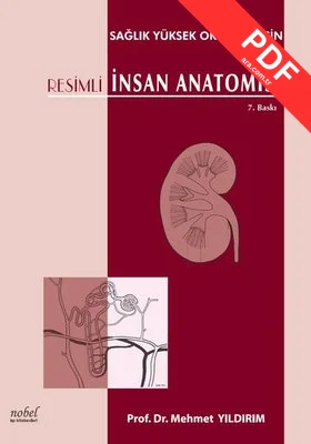 Resimli İnsan Anatomisi kitap kapağı