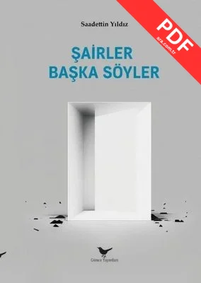 Şairler Başka Söyler kitap kapağı