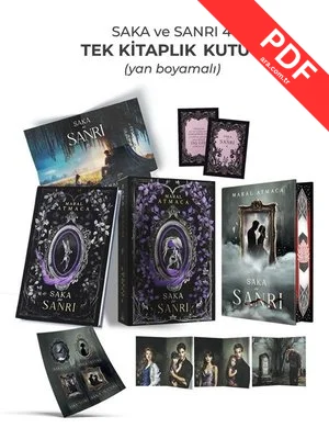 Saka ve Sanrı 4 - Tek Kitaplık Yan Boyamalı Kutu
