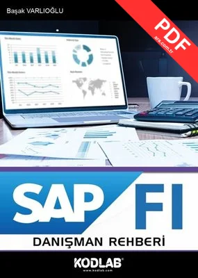 SAP FI Danışman Rehberi kitap kapağı