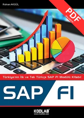 SAP FI kitap kapağı