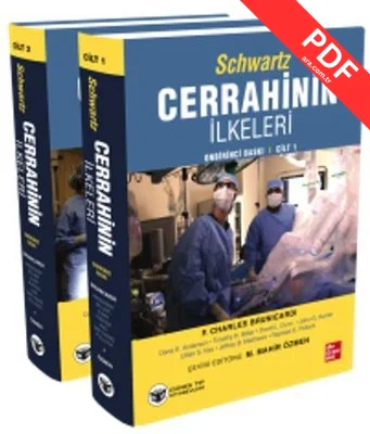 Schwartz Cerrahinin İlkeleri Seti - 2 Kitap Takım kitap kapağı