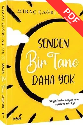 Senden Bir Tane Daha Yok kitap kapağı