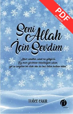 Seni Allah İçin Sevdim kitap kapağı