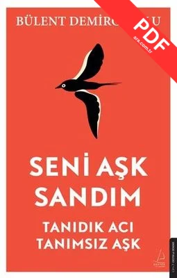 Seni Aşk Sandım - Tanıdık Acı Tanımsız Aşk kitap kapağı
