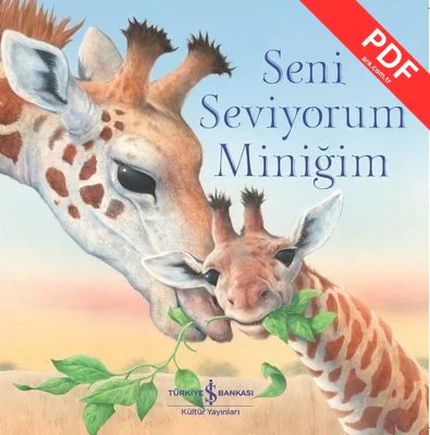 Seni Seviyorum Miniğim kitap kapağı
