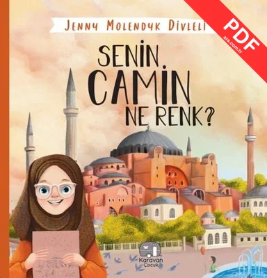 Senin Camin Ne Renk? kitap kapağı