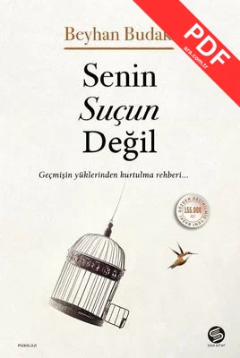 Senin Suçun Değil kitap kapağı
