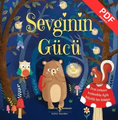 Sevginin Gücü kitap kapağı